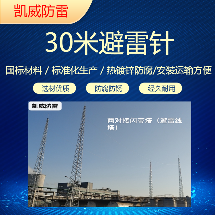 30米避雷塔 变电站避雷针 GFL2-10 GFL2-12 有照明台 热镀锌角钢