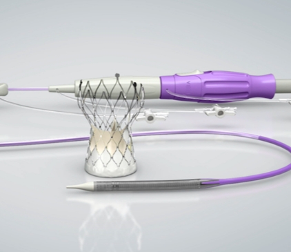 FG17000-AV26经导管主动脉瓣系统沛嘉