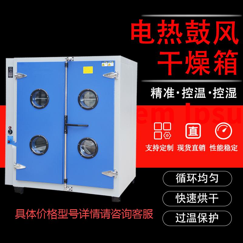 电热鼓风干燥箱