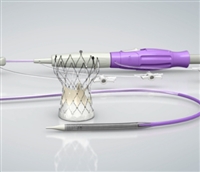 FG17000-AV26经导管主动脉瓣系统沛嘉