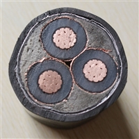 变频器专用电缆ZRC-BPYJVP3*95+3*16生产厂家