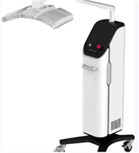 LED光子治疗仪LE-2000-R