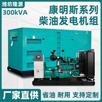 300KW康明斯 柴油发电机组 厂家直供 货源丰富 欢迎各位采购