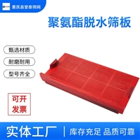 高频聚氨酯脱水筛板 高效筛分 定尺定做 厂家直发 誉泰筛网