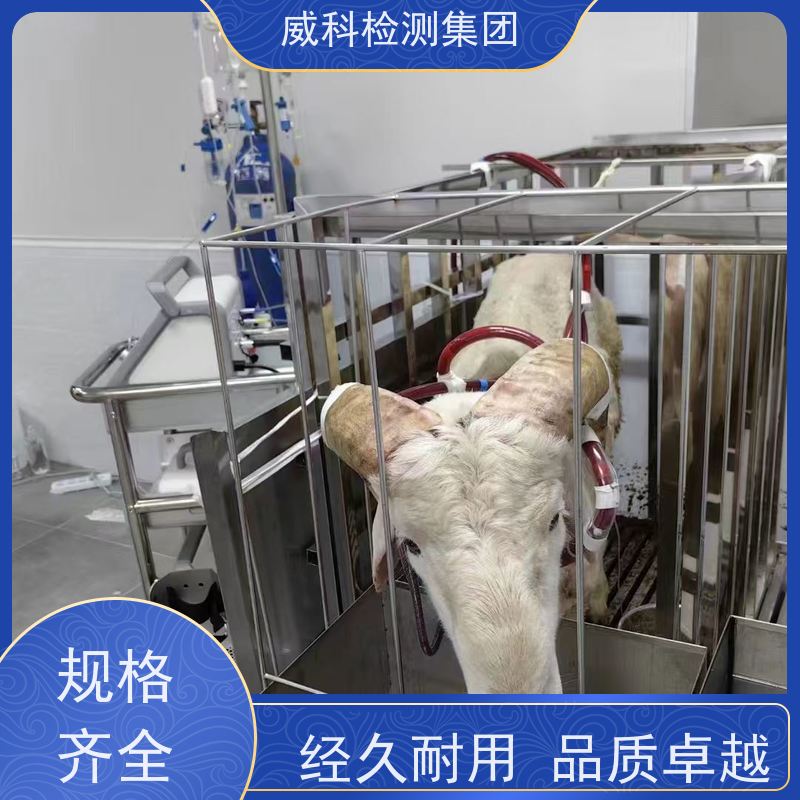 东莞抗菌牙刷检测机构 安全性能测试 磨尖丝 增塑剂限量测试CMA