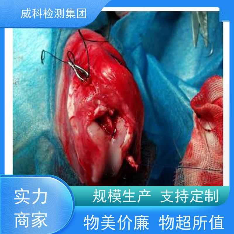 即临床前动物实验报告 别名临床前安全性验证 医疗器械检测集团专业支持 采用轻量化材料 适用于微创手术器械测试 