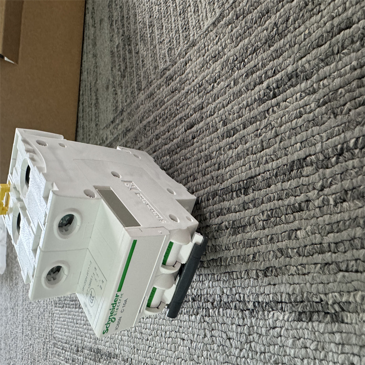 iC65微型断路器A9F18210施耐德IC65N 2P C10A