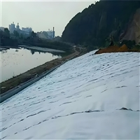 900克防水土工布价格