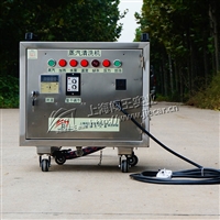 闯王CWD06C家政蒸汽机  傻瓜电控清洗设备