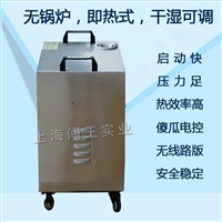 地毯清洗  闯王CWD06C电加热清洗机厂家