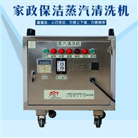 家用蒸汽机 闯王CWD4A/6A家政蒸汽机  汽车轮毂清洗设备