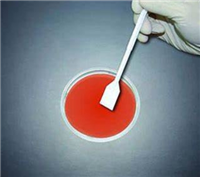 铲形100一次性使用视网膜钩