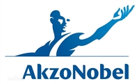 Akzonobel阿克苏诺贝尔润湿分散剂Duomeen TDO