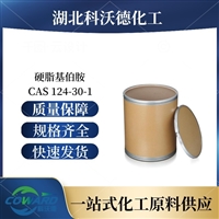 硬脂基伯胺 124-30-1 沥青乳化剂 湖北生产厂家 支持小样