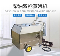 汽车发动机清洗机  闯王CWCD05B柴油清洗机厂家