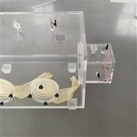 铅玻璃辐射防护手套箱
