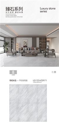 1200x2400x9工程岩板砖 亮光柔光可选 酒店写字楼装修瓷砖 可定制