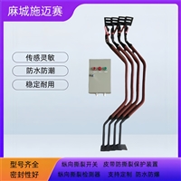 防爆纵向撕裂检测装置 BSLZ 220V3A撕裂开关