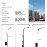 8米市政LED路灯批发 双臂市政路灯定制  