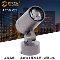 璨华led投射灯10W20W户外防水别墅花园草坪cob插地灯