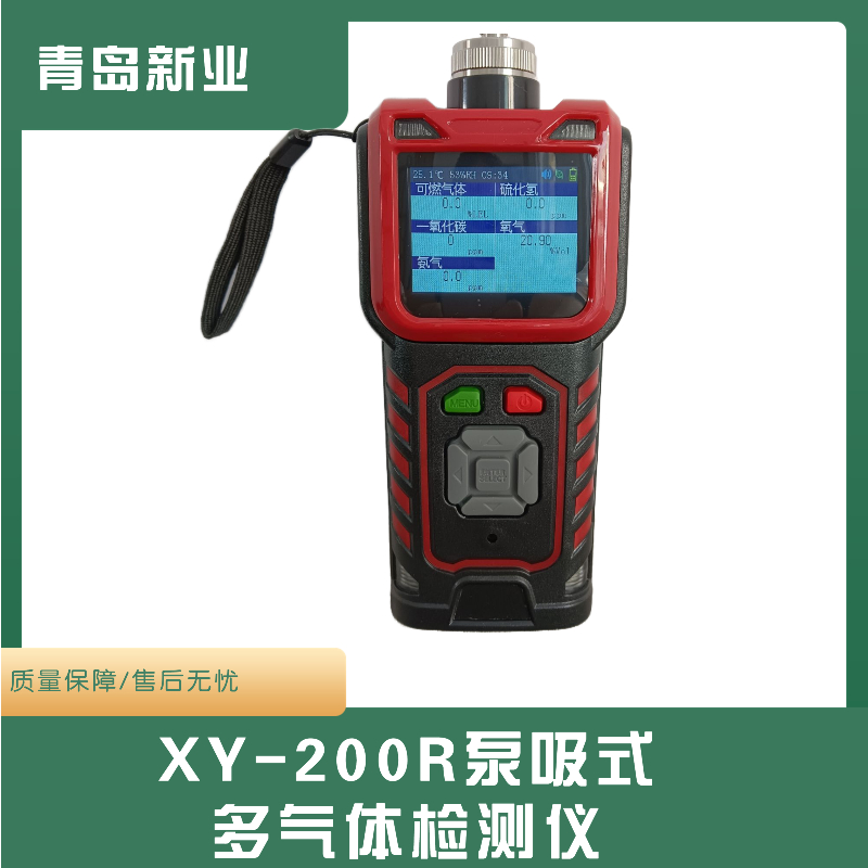 XY-200R泵吸式多气体检测仪 原装进口PID光离子气体传感器 新业