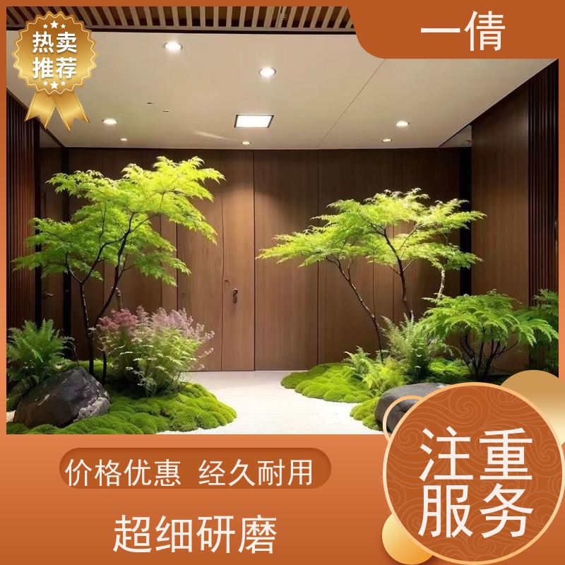 一倩花卉 紫檀 绿植出售 种类繁多