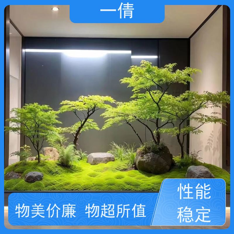 一倩花卉 苹果树 绿植租赁 种类繁多