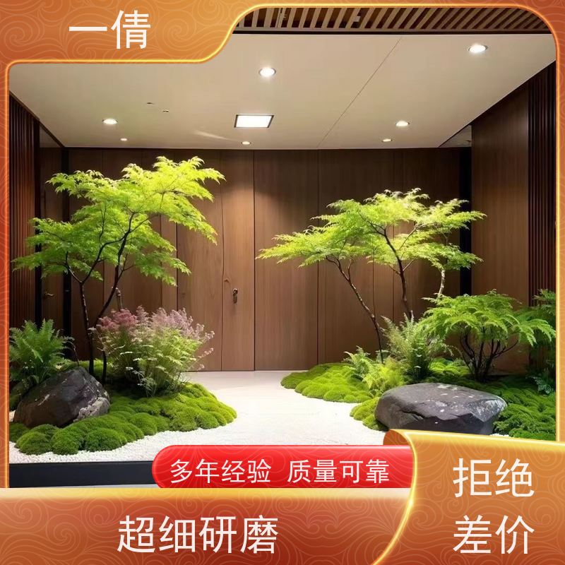 一倩花卉 银斑葛 绿植出售 种类繁多