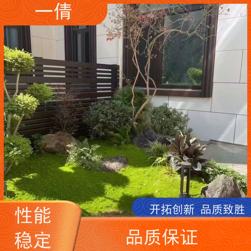 一倩花卉 好事花生 绿植出售 规格齐全