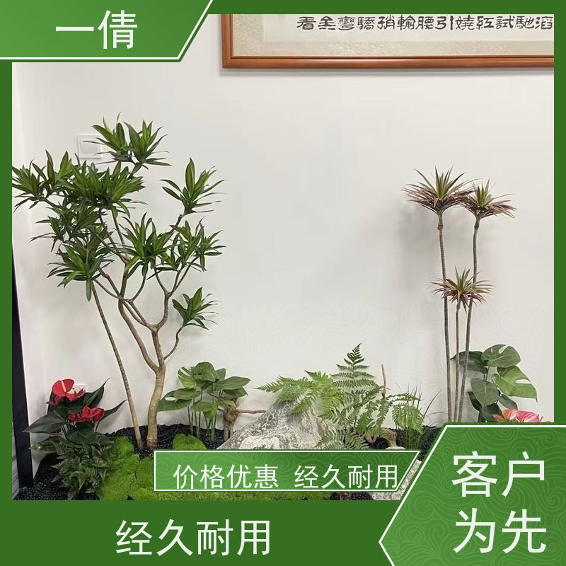 一倩花卉 铁树 绿植租赁 种类繁多