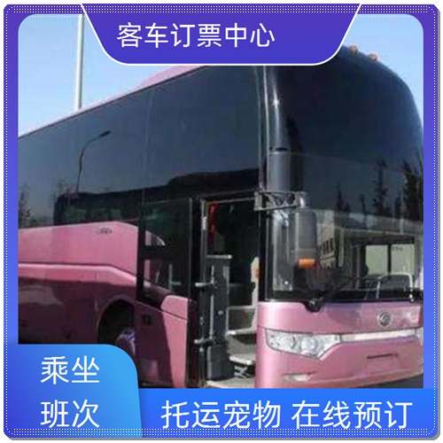 客车:诏安到洪泽汽车实时反馈/全+镜+派+送