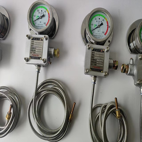 防爆仪表WTZD-285z