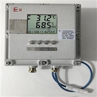 防爆仪表BWSJ122