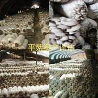 绵阳市农村无证房屋市场价值评估