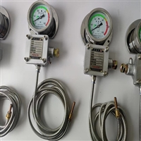 防爆仪表WTZD-285z