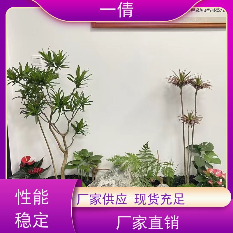 一倩花卉 好事花生 绿植租赁 规格齐全