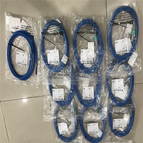  德国P+F编码器AVM58N-011K1R0GN-1213 