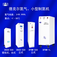 免维护高纯氮气发生器DFNW-500型