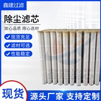 批发工业除尘滤筒型号135X1000防静电滤布替代布袋除尘滤筒