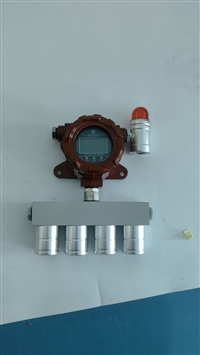 氦气在半导体行业中的应用与监测