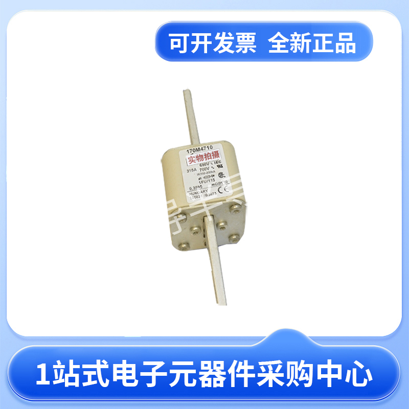 伊顿巴斯曼熔断器170M4710 170M4711 170M4712 170M4713现货23+