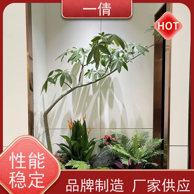 一倩花卉 苹果树 绿植出售 种类繁多