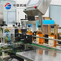 木瓜酒生产线 枇杷酒加工设备 桑葚果酒生产设备