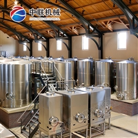 荔枝果酒生产线 芒果酒加工设备 木瓜酒生产设备