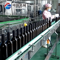 火龙果酒生产线 蓝莓果酒加工设备 荔枝果酒生产设备