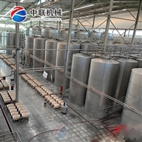 沙棘果酒生产线 苹果酒加工设备 蓝莓酒生产设备