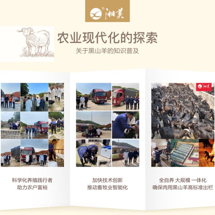 湘美黑山羊养殖价格与后期回收