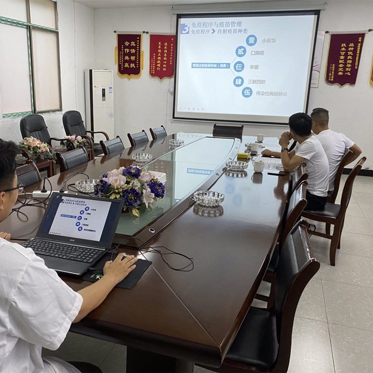 黑山羊养殖技术 湘美黑山羊生态养殖技术