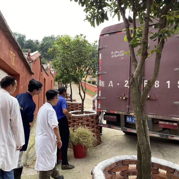 黑山羊养殖 黑山羊的养殖方法 黑山羊是圈养好还是放养好