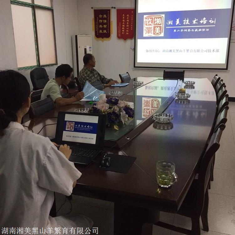 想学黑山羊养殖技术的朋友看过来